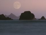 Paysages - Aquatique - 093