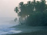 Paysages - Aquatique - 094