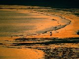 Paysages - Aquatique - 101
