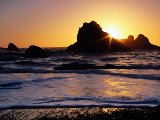 Paysages - Aquatique - 103