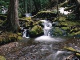 Paysages - Aquatique - 105