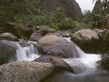 Paysages - Aquatique - 106