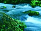 Paysages - Aquatique - 107