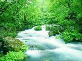 Paysages - Aquatique - 108