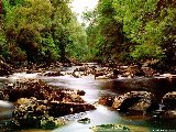 Paysages - Aquatique - 109