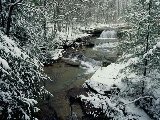 Paysages - Aquatique - 110
