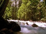 Paysages - Aquatique - 111