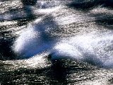 Paysages - Aquatique - 116