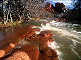 Paysages - Aquatique - 119