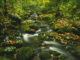 Paysages - Aquatique - 121