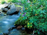 Paysages - Aquatique - 122