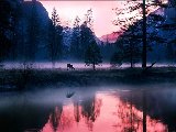 Paysages - Aquatique - 126