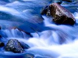 Paysages - Aquatique - 128