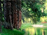Paysages - Aquatique - 129
