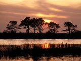 Paysages - Aquatique - 130