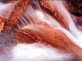 Paysages - Aquatique - 136