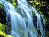 Paysages - Aquatique - 137