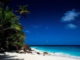 Paysages - Aquatique - 139
