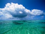 Paysages - Aquatique - 140