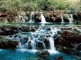 Paysages - Aquatique - 147
