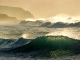 Paysages - Aquatique - 151