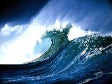 Paysages - Aquatique - 152