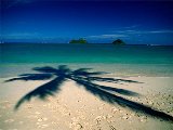 Paysages - Aquatique - 156