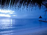 Paysages - Aquatique - 158
