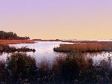Paysages - Aquatique - 159