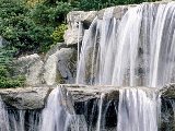Paysages - Aquatique - 162