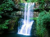 Paysages - Aquatique - 165
