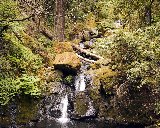 Paysages - Aquatique - 166