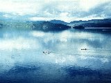 Paysages - Aquatique - 172