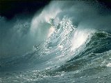 Paysages - Aquatique - 182