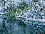 Paysages - Aquatique - 184