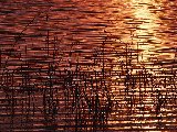 Paysages - Aquatique - 188