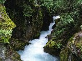 Paysages - Aquatique - 190