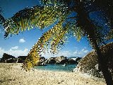 Paysages - Aquatique - 192