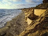 Paysages - Aquatique - 193