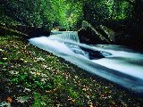 Paysages - Aquatique - 194