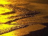 Paysages - Aquatique - 195