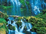 Paysages - Aquatique - 196