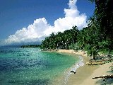 Paysages - Aquatique - 200