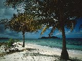 Paysages - Aquatique - 201