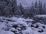 Paysages - Aquatique - 202