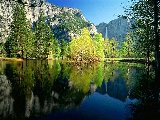 Paysages - Aquatique - 205