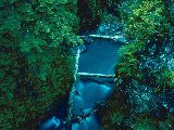 Paysages - Aquatique - 206
