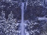 Paysages - Aquatique - 208