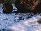 Paysages - Aquatique - 212