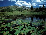 Paysages - Aquatique - 214